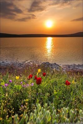 Яркая весна. 12 фото, которые показывают яркие весенние рассветы и закаты |  Люблю жизнь и фотографирую | Дзен