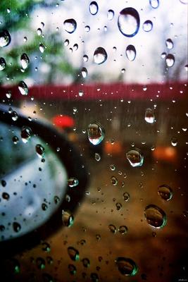 Фотообои \"Весенний дождь\" - Арт. 150650 | Купить в интернет-магазине Уютная  стена