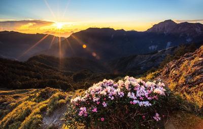 Рассвет в горах Алтая — Фото №280526