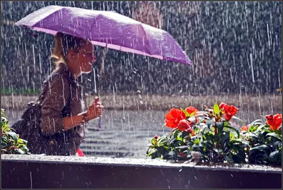 женщина грустит под дождем, фотографии грустных людей, грустный, грусть фон  картинки и Фото для бесплатной загрузки