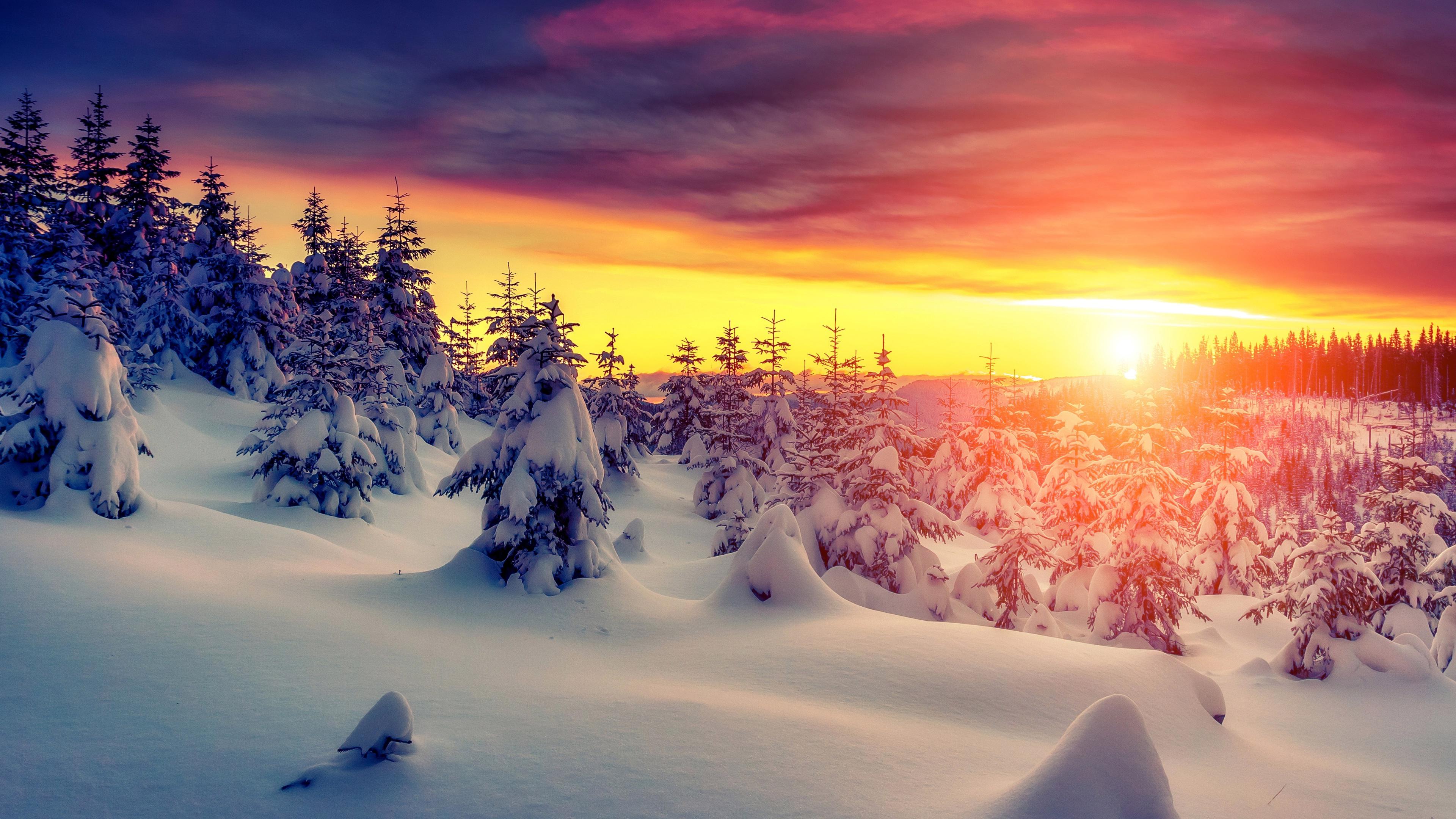 Обои зима, снег, природа, дерево, замораживание Full HD, HDTV, 1080p 16:9  бесплатно, заставка 1920x1080 - скачать картинки и фото
