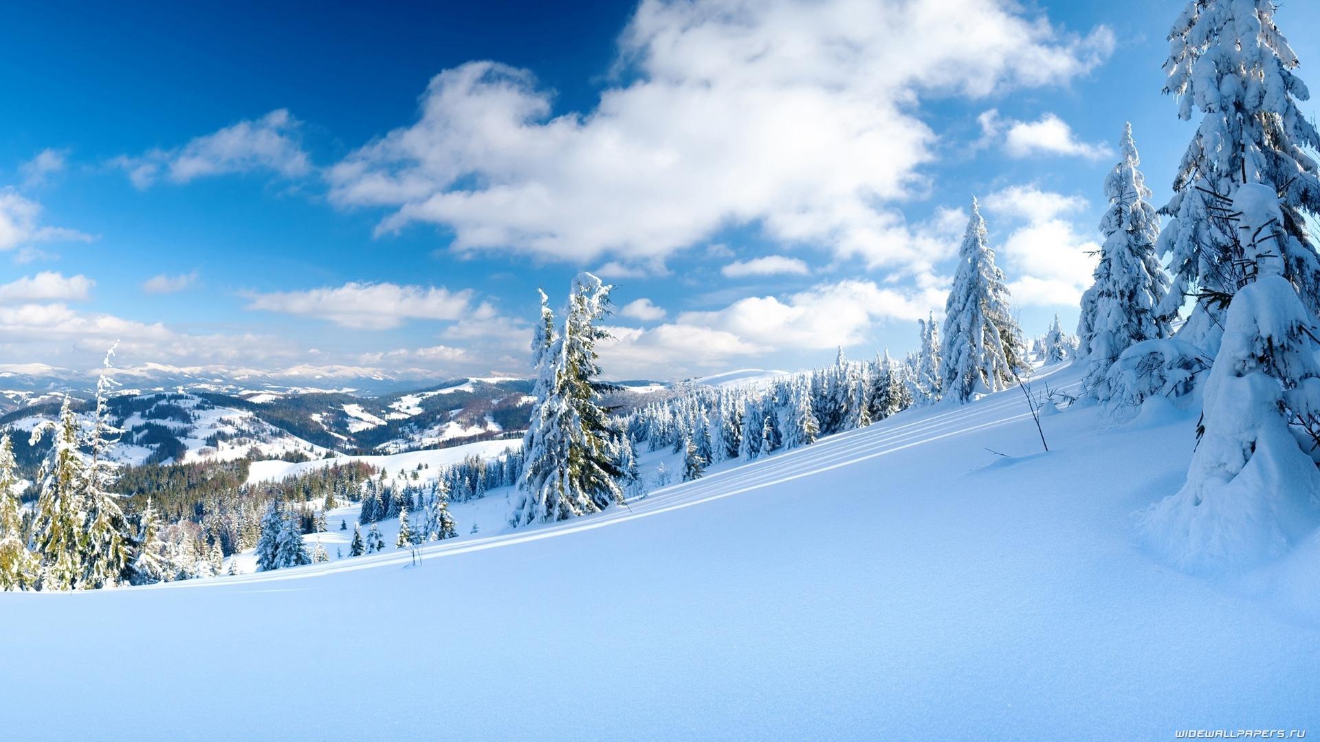 Скачать 1920x1080 зима, снег, дорога, деревья обои, картинки full hd, hdtv,  fhd, 1080p