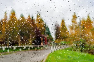 Дождь В Париже С Эйфелевой Башней — стоковые фотографии и другие картинки  Дождь - Дождь, Окно, Париж - Франция - iStock