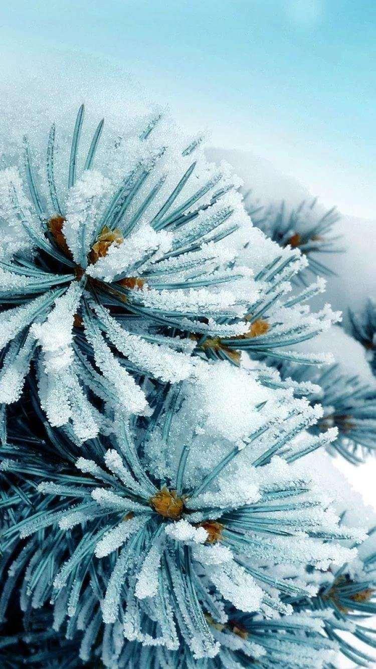Прикольные картинки \"Зима близко\" (59 фото)