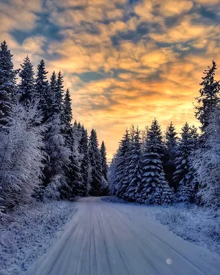 Красивые обои зима (58 фото) - 58 фото
