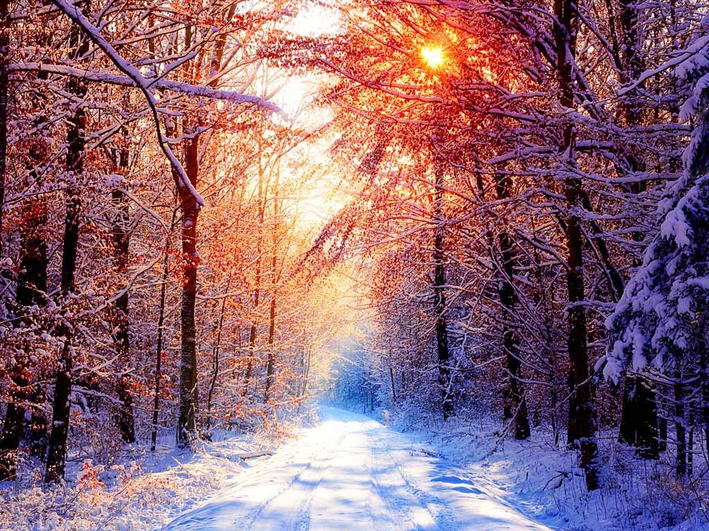 Качественные картинки зима фотографии