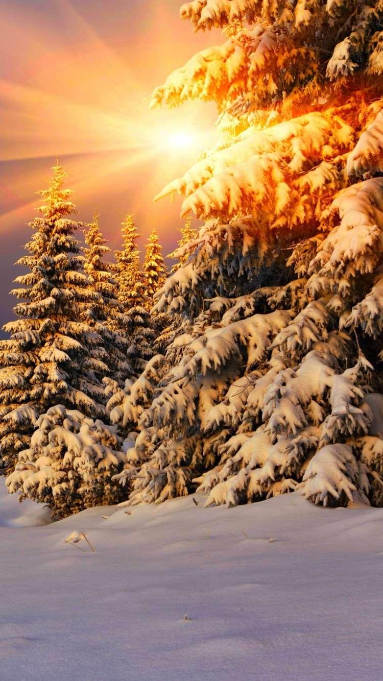 Красивые картинки зима в hd качестве на телефон
