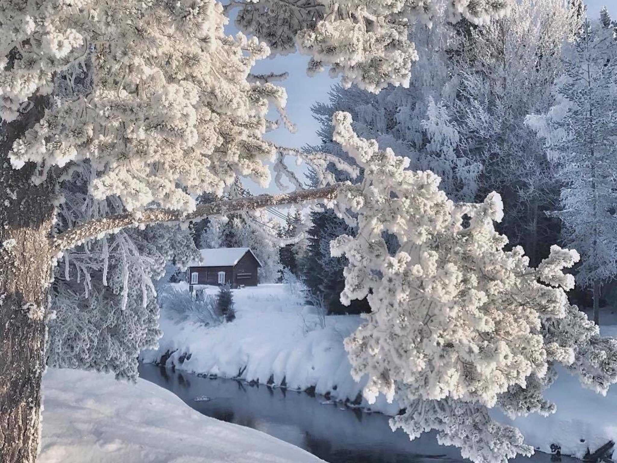 Красивые зимние обои на телефон - 62 фото