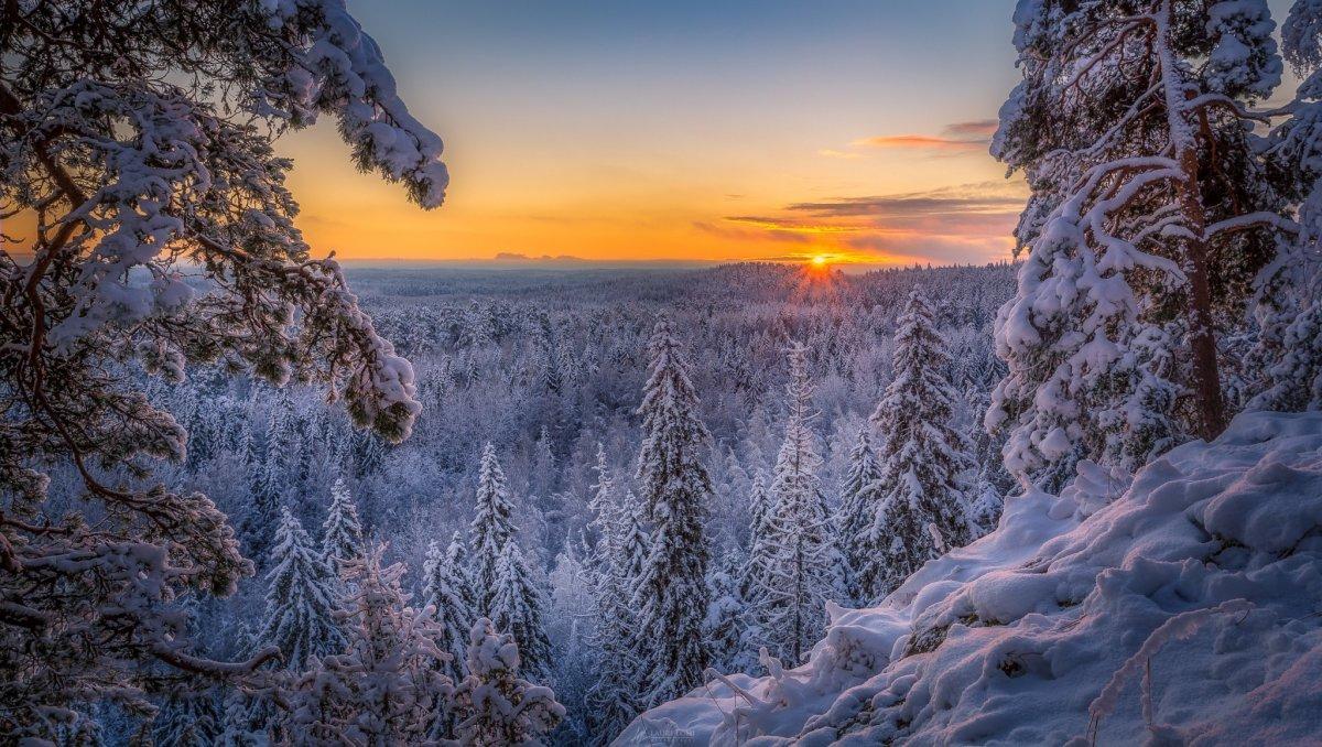 Картинка красота зимы