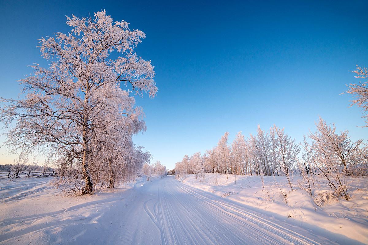 Зима Якутии, вспомним красоту зимы (ФОТО) | Пикабу