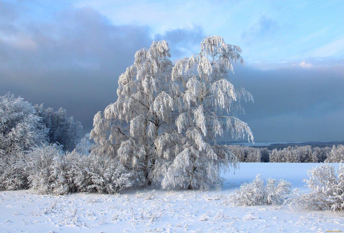 Красота зимы Красивые заснеженные бер…» — создано в Шедевруме