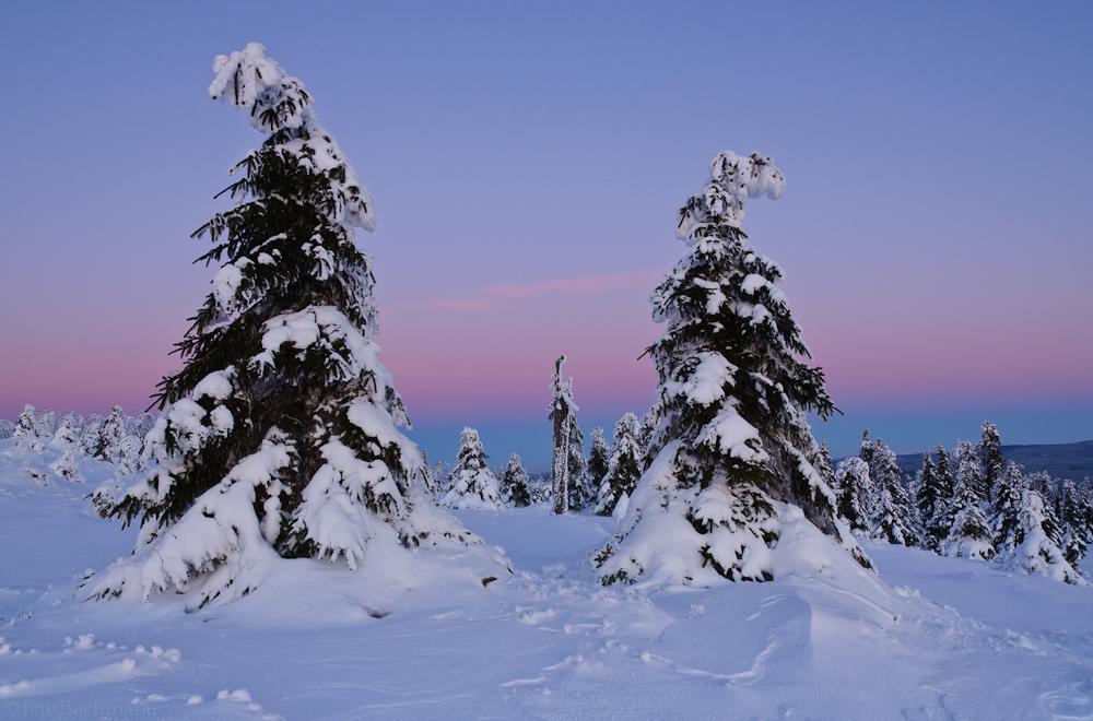 Красота русской зимы - красивые фото