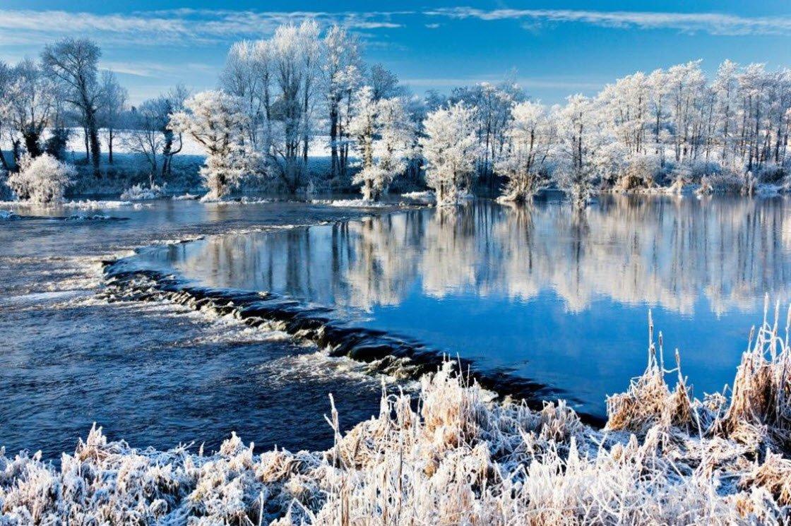 Мой выбор - красота зимы (GreenWord.ru)
