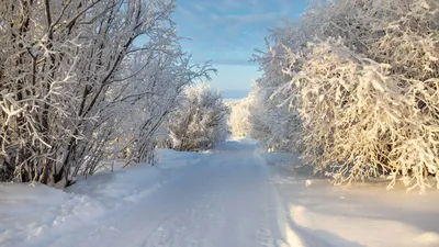 Лучшие фото этой прошедшей зимы | Россия в объективе | Дзен