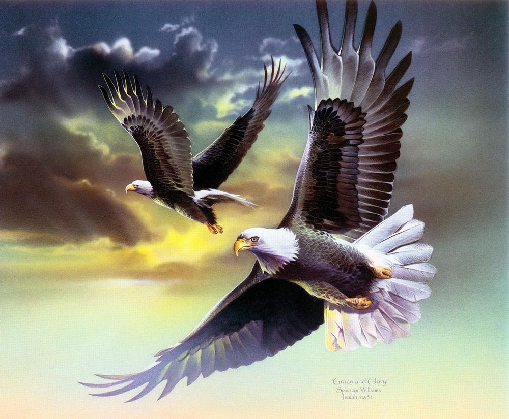 Орел в небе над горой - картинка №9902 | Printonic.ru