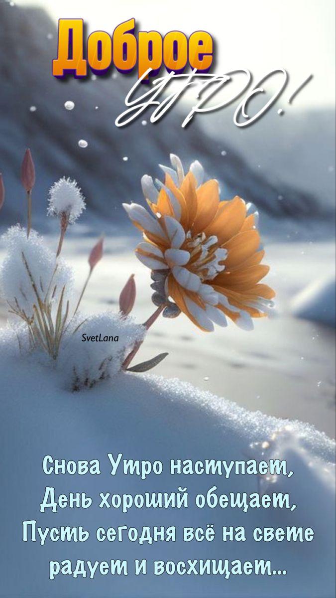 доброе утро зима: 2 тыс изображений найдено в Яндекс Картинках | Красивые  картинки) | Постила