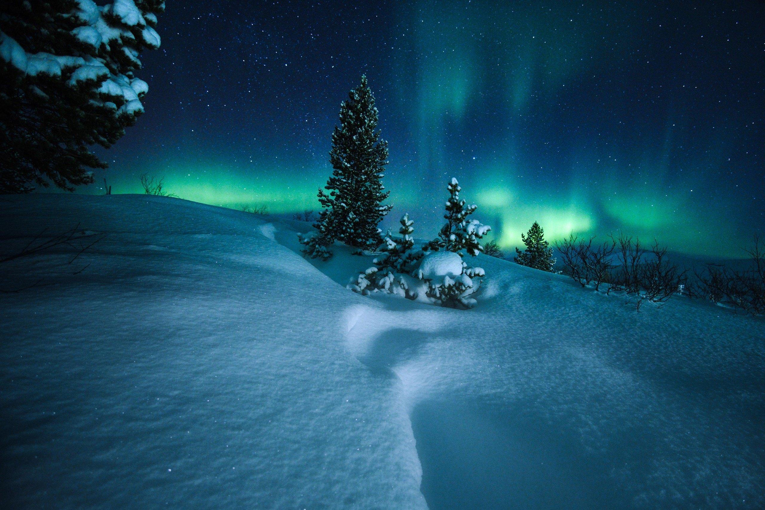 Ночь зима снег (47 фото) - 47 фото