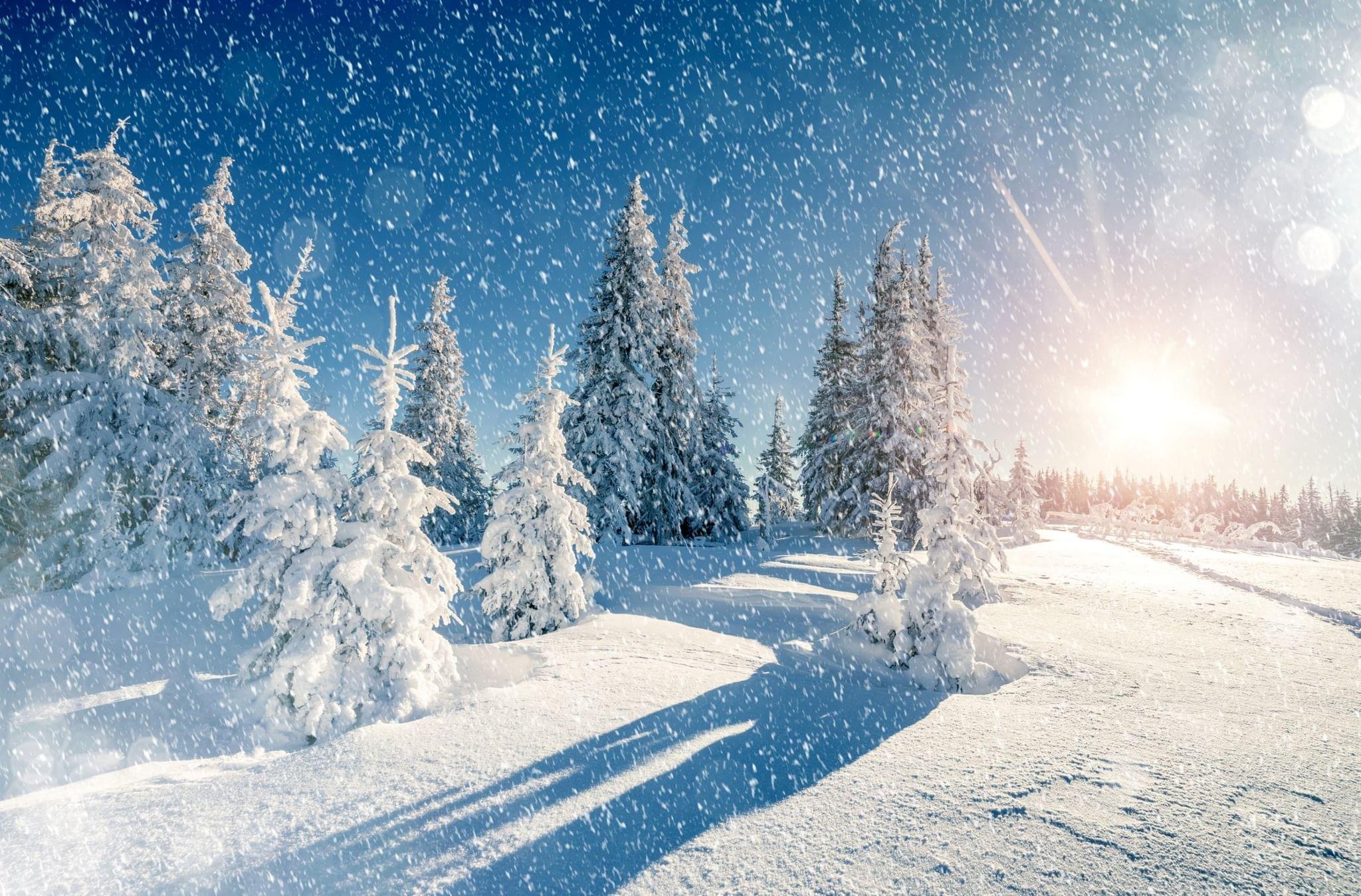 Зима снег снежинки (56 фото) - 56 фото