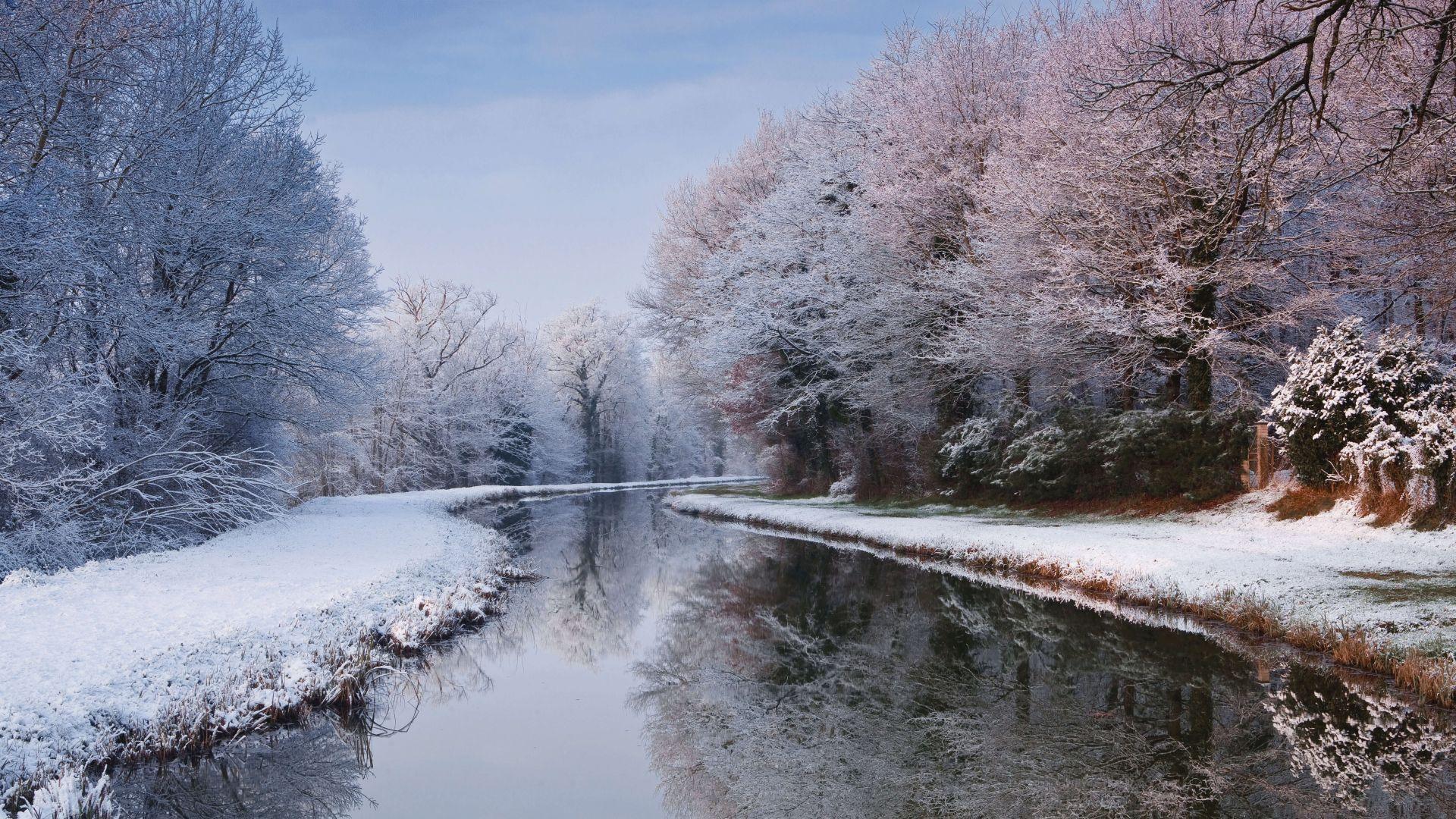 обои : природа, снег, Сотовый телефон, Деревьями, Вертикальный, Зима  1242x2688 - Sparkzale - 2199611 - красивые картинки - WallHere