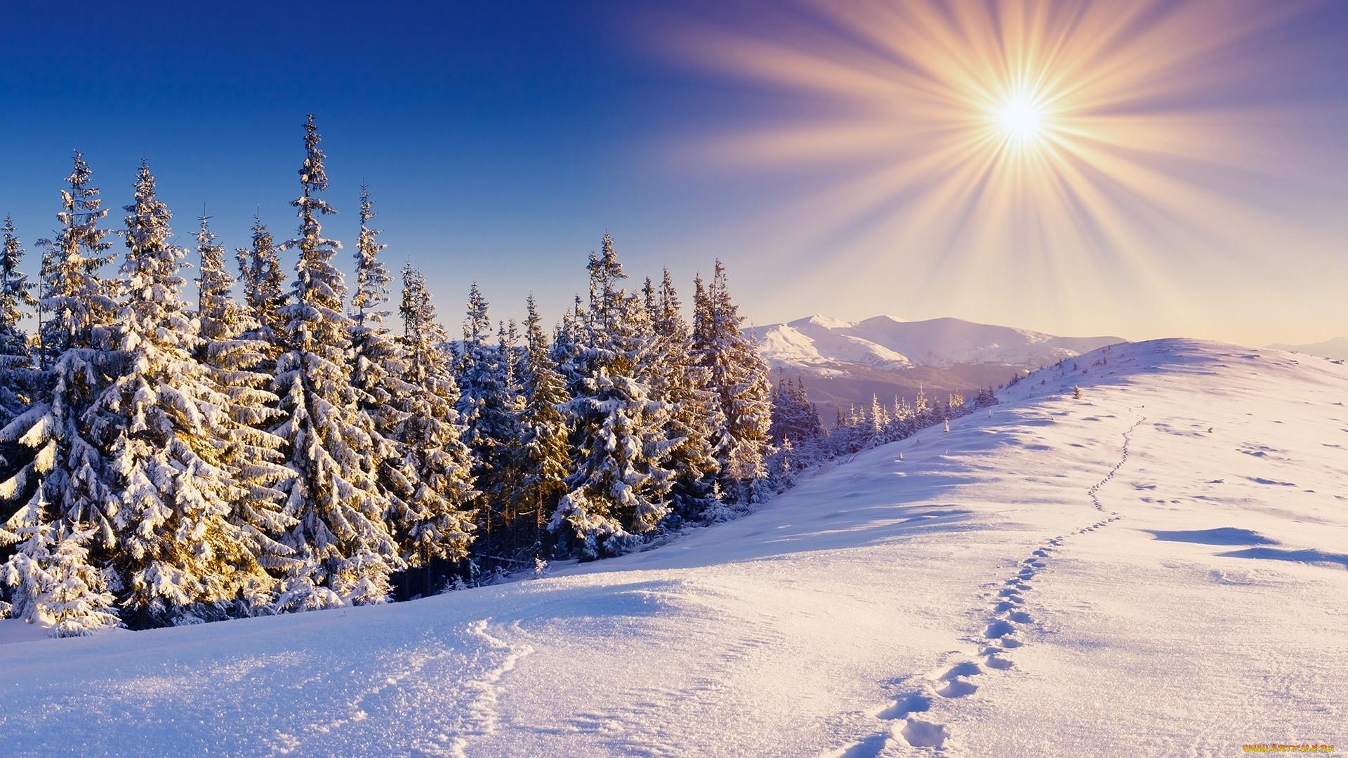 Красивая зима блестящий снег. на …» — создано в Шедевруме