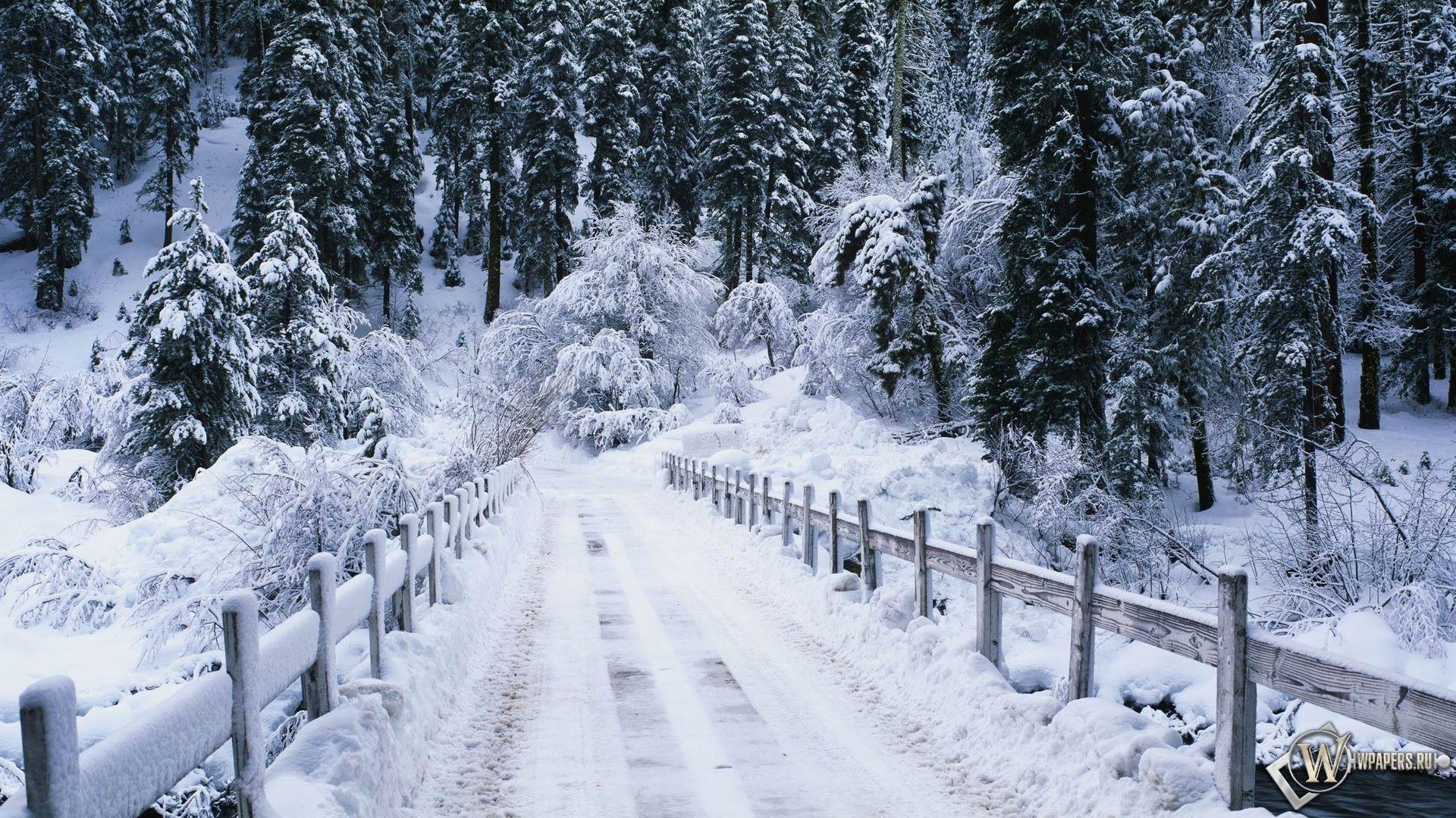 Скачать обои Snowy bridge (Зима, Снег, Лес, Мост, Ели) для рабочего стола  1920х1080 (16:9) бесплатно, Фото Snowy … | Paysage de neige, Image de  neige, Scène d'hiver