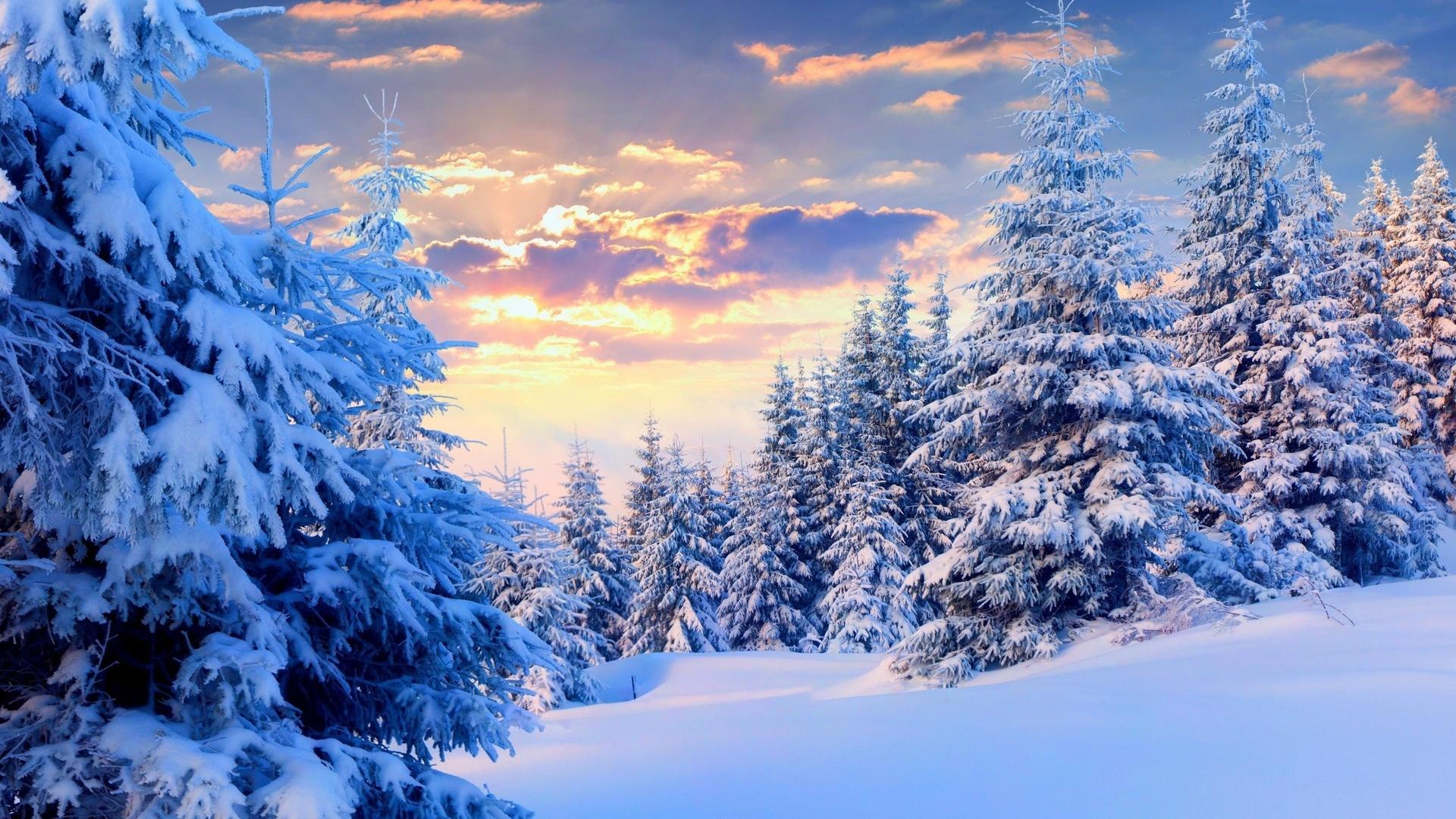 Картинки зима, лес, красиво, небо, облака, закат, белый фон, свет, солнца -  обои 1920x1080, картинка №118432