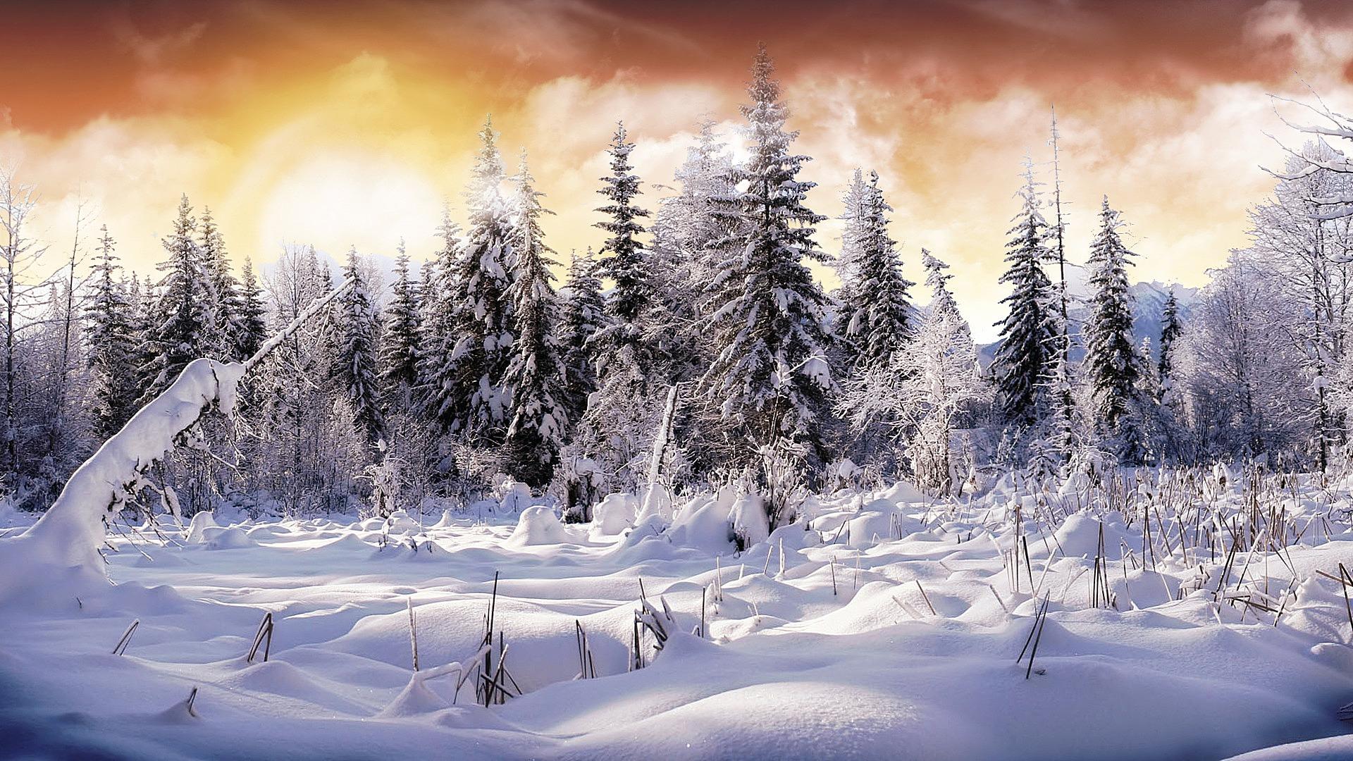 Обои Зимняя сказка Природа Зима, обои для рабочего стола, фотографии  зимняя, сказка, природа, зима, речка, лес, утро Обои для рабочего стола,  скачать обои картинки заставки на рабочий стол.