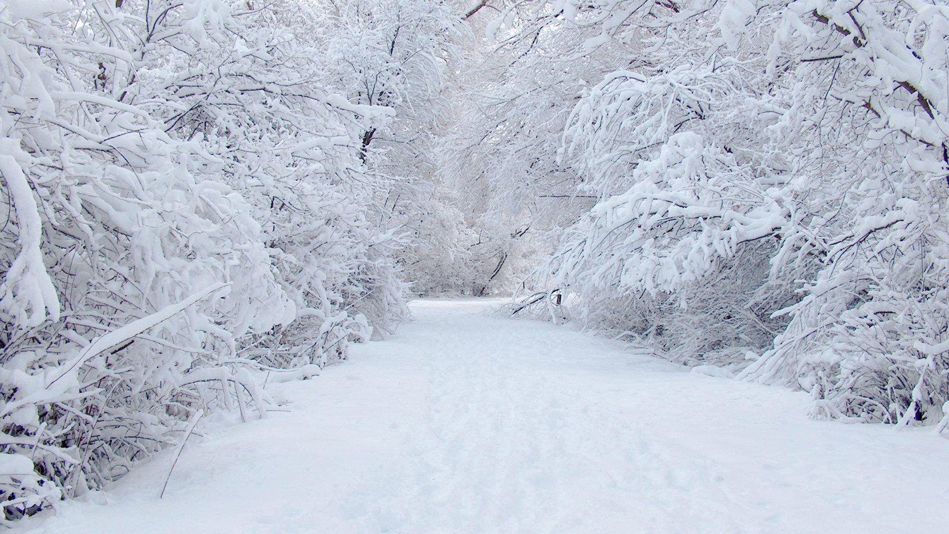 Скачать обои дорога, снег, зима, road, snow разрешение 1920x1080 #6974