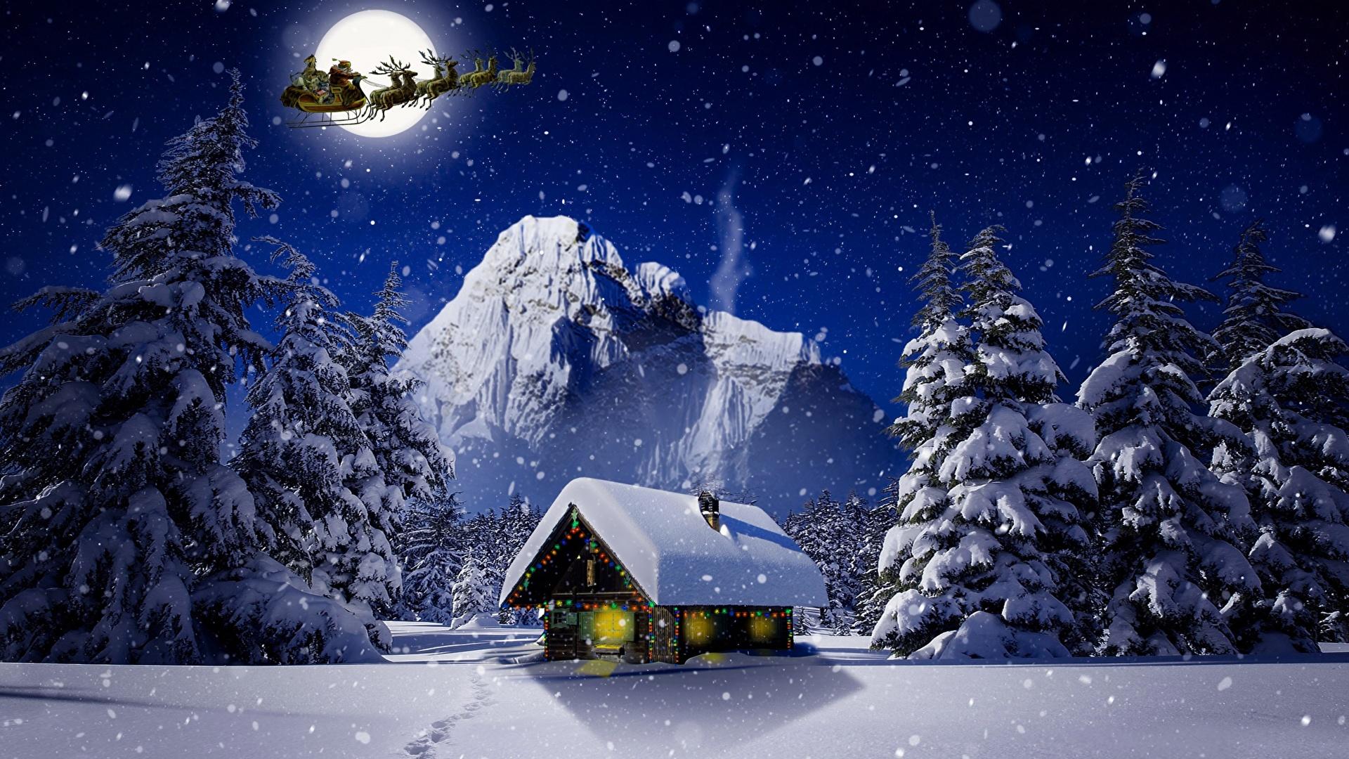 Скачать 1920x1080 зима, снег, покров, ночь, свет, деревья, хвойные, звезды,  синий, белый обои, картинки full hd, hdtv, fhd, 1080p