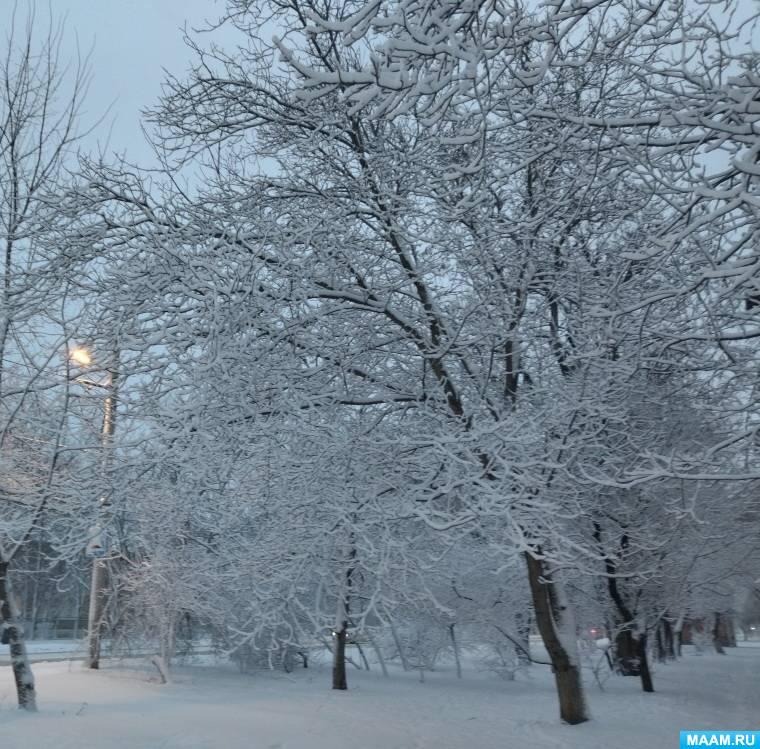 Деревья зимой - 61 фото
