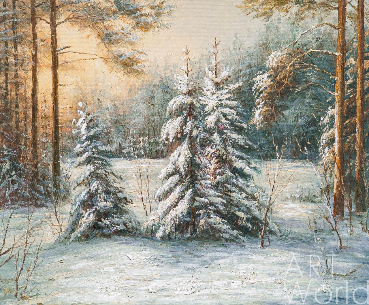 Картинки Ель зимние Природа снегу дерева Времена года