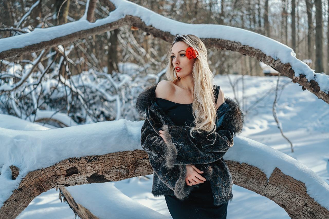 Картинки блондинки Шуба Размытый фон зимние молодая женщина Снег