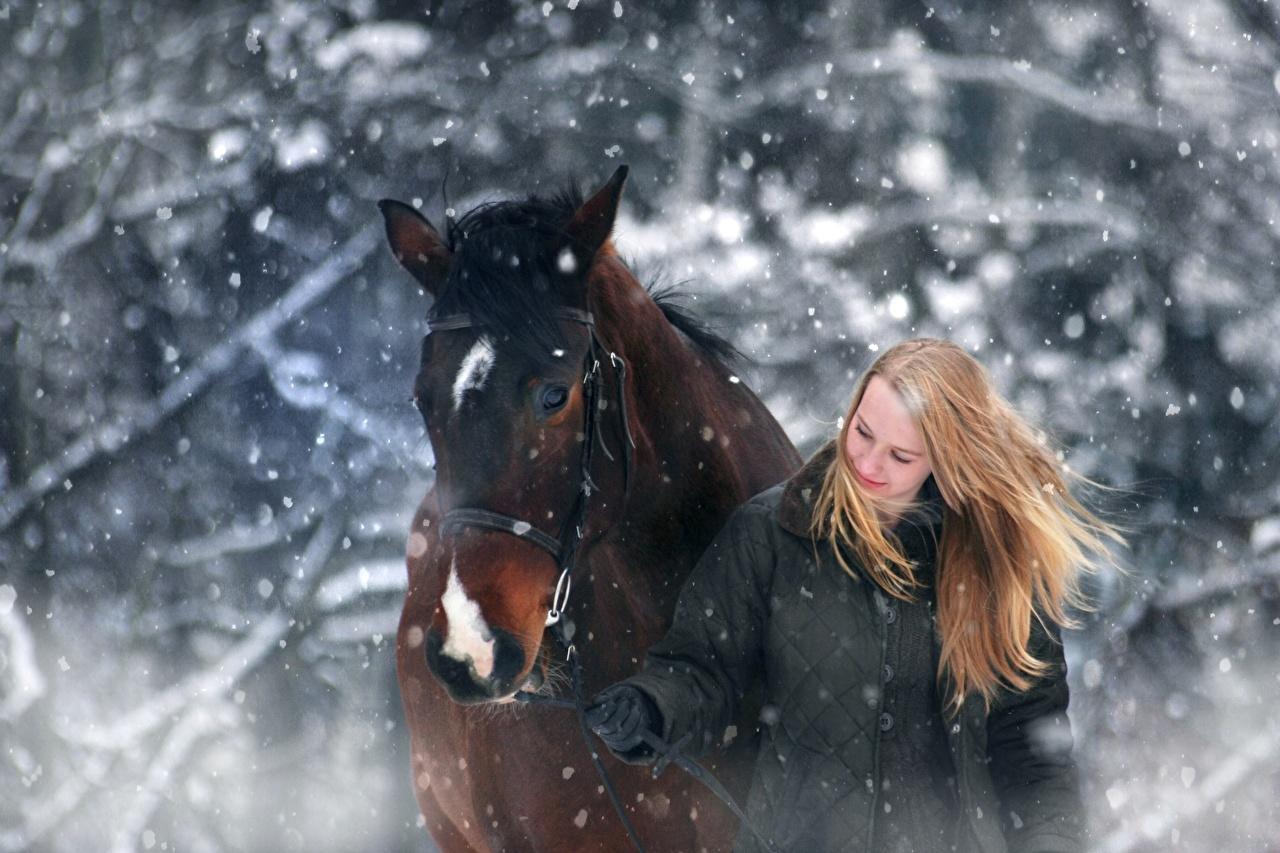 зима блондинка женщина девушка красивая Фото Фон И картинка для бесплатной  загрузки - Pngtree