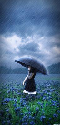 Картинки девушка с зонтом дождь
