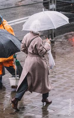 молодая девушка с зонтом для прогулки. осенний дождь. мультипликационный  стиль. Иллюстрация вектора - иллюстрации насчитывающей сторона, счастливо:  223369952