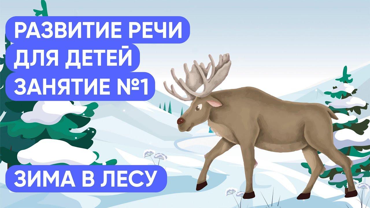 Зверский аппетит: как правильно подкармливать животных зимой - МОСКВА  Новости