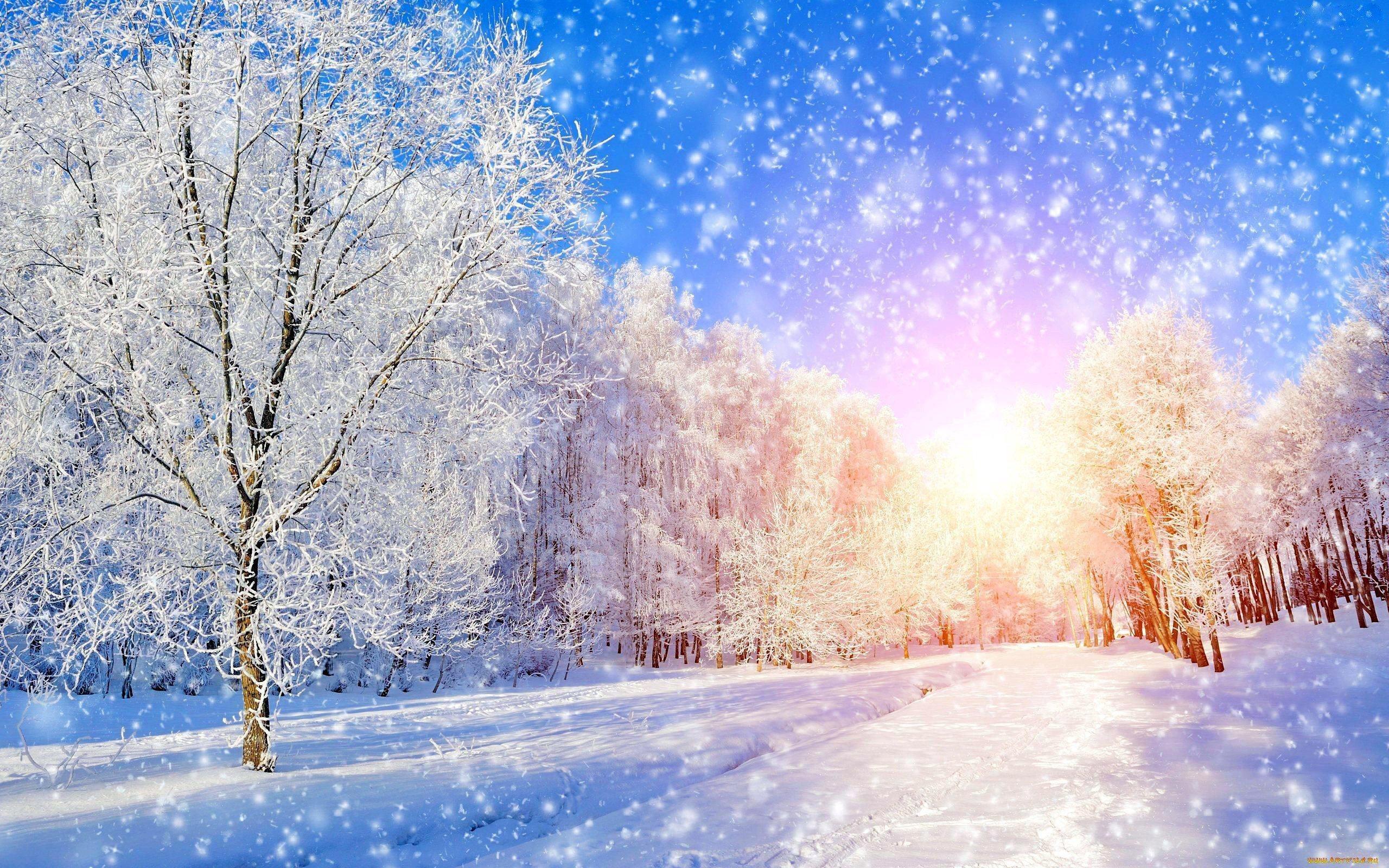Картинки фон зима снег (46 фото) » Картинки и статусы про окружающий мир  вокруг