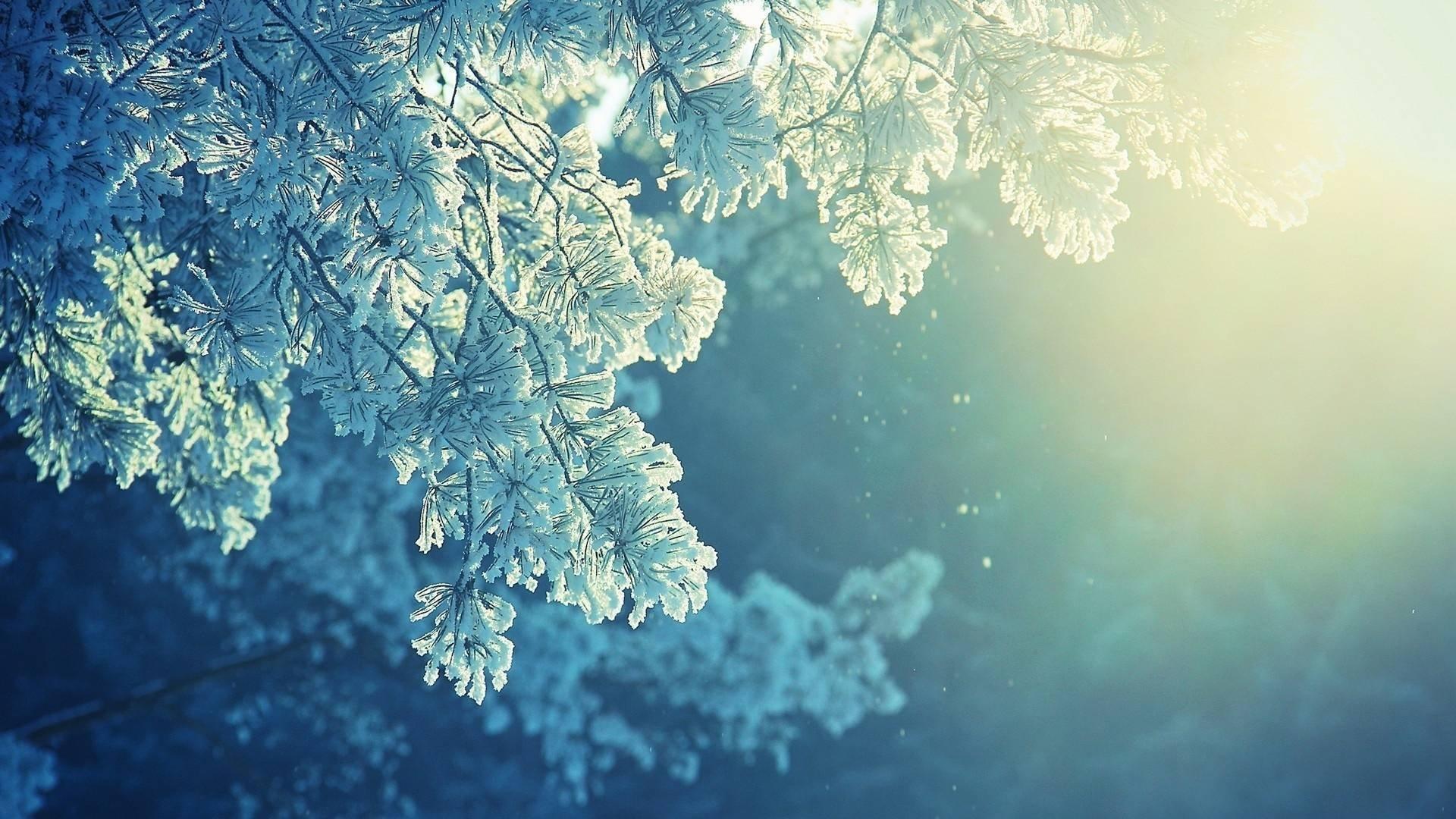 зима снежинки красивый фон, зима, фон, снежинка фон картинки и Фото для  бесплатной загрузки