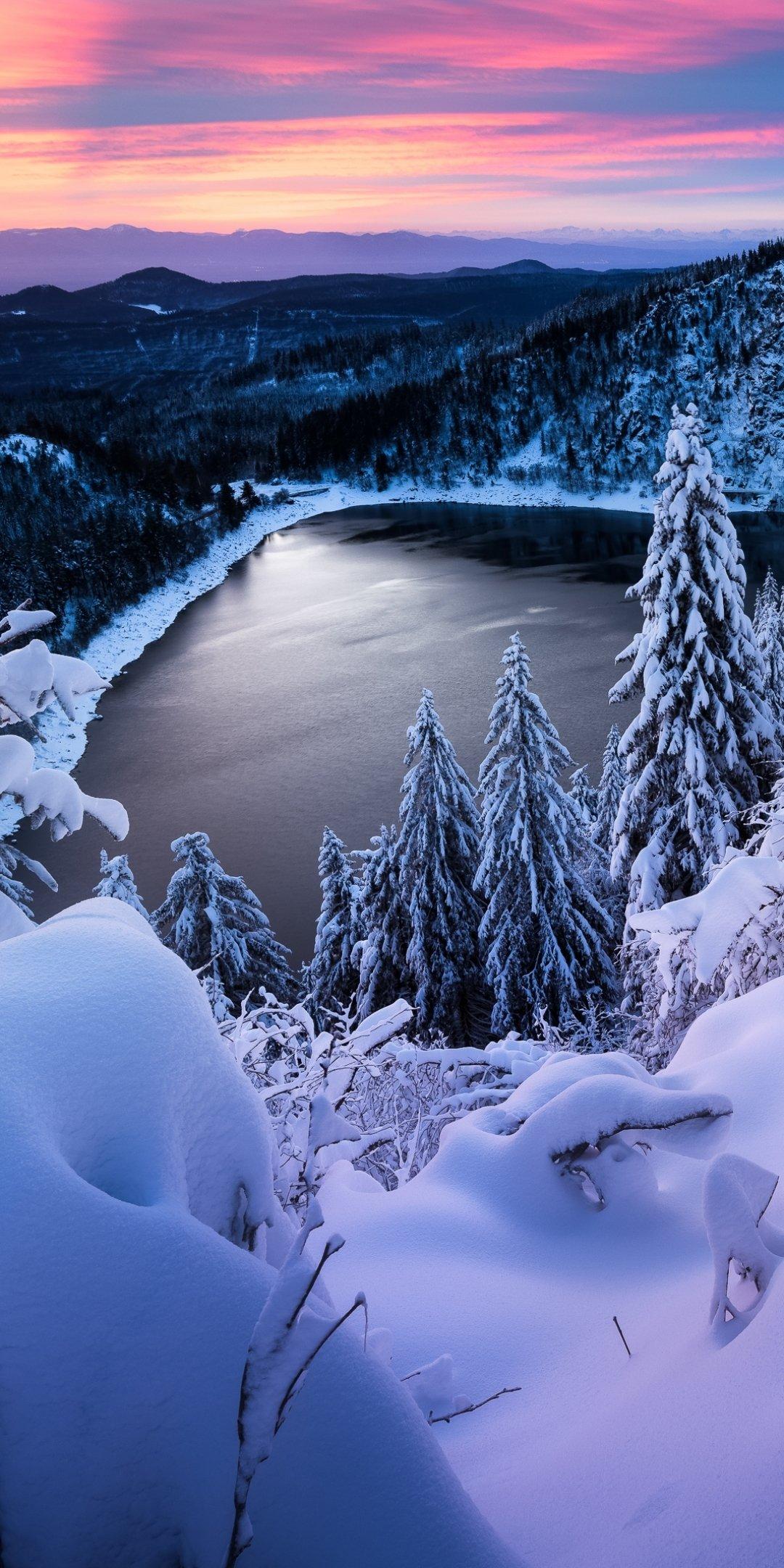 Обои на телефон зимний лес сосны в снегу еловые ветви эстетика зимы | Лес,  Эстетика, Обои