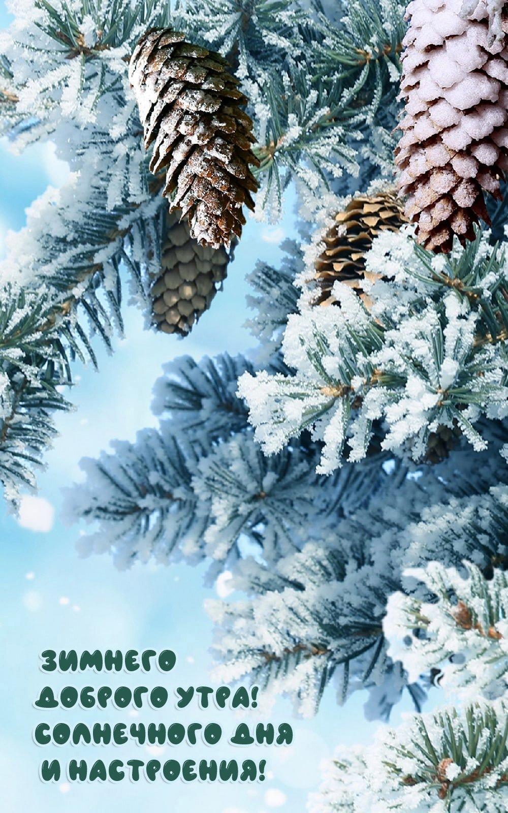 Зима пришла открытка - Праздники сегодня