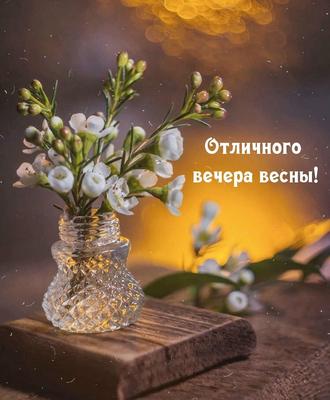 Pin by Оксана on добрый вечер | Greetings, Table decorations, Instagram