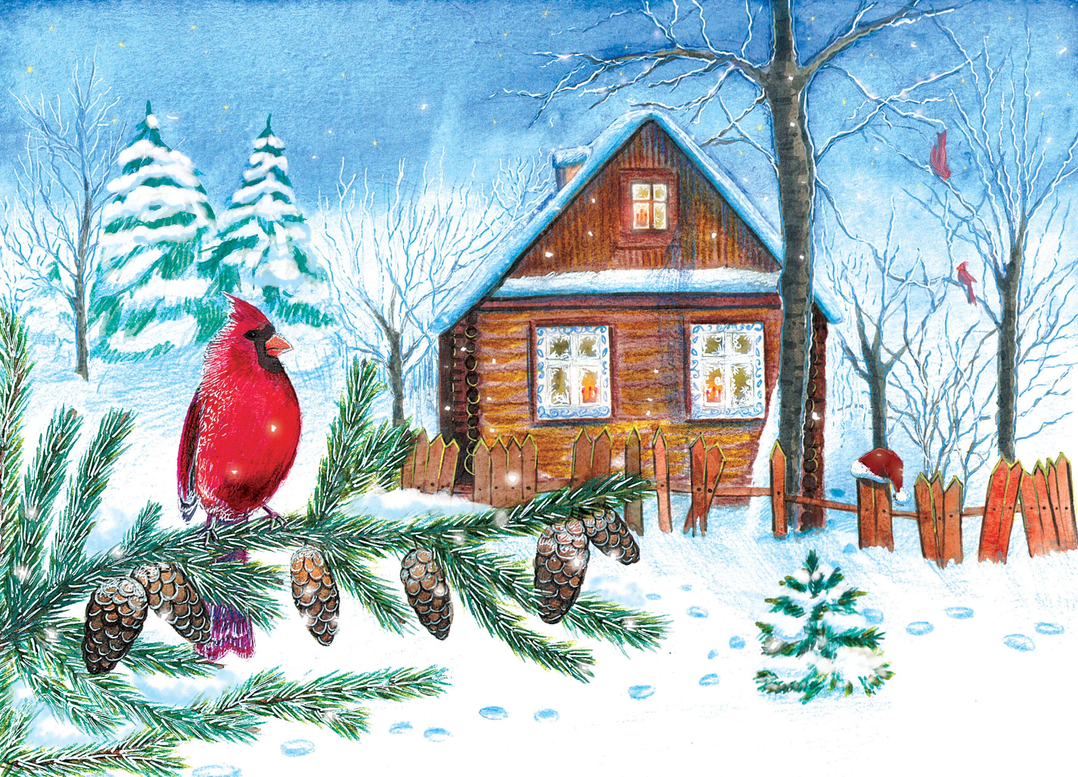 Иллюстрация Зимний домик в лесу. Птичка Красный кардинал. в стиле