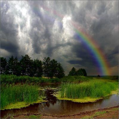 Сквозь дождь радуга пробилась | Фотосайт СуперСнимки.Ру