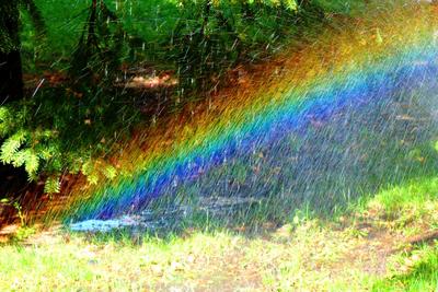 Дождь и радуга: Фото в высоком разрешении | Дождь и радуга Фото №1364296  скачать
