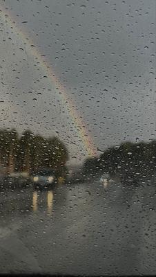 Радуга в небе Радуга после дождя Красивая радуга 7-цвета Стоковое Фото -  изображение насчитывающей красивейшее, дождь: 142028002