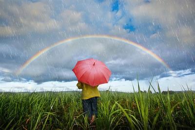 радуга в облаках многоцветный дождь леденцов. векторная иллюстрация в ярких  цветах для текстиля Иллюстрация вектора - иллюстрации насчитывающей  природа, картина: 218235367