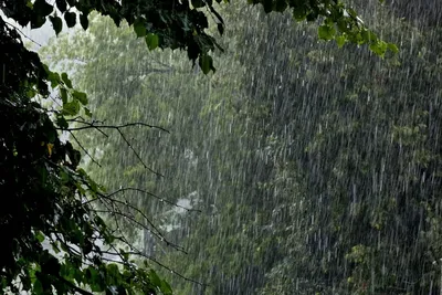 В ОАЭ едва ли не впервые дождь летом – тест технологии вызова дождя