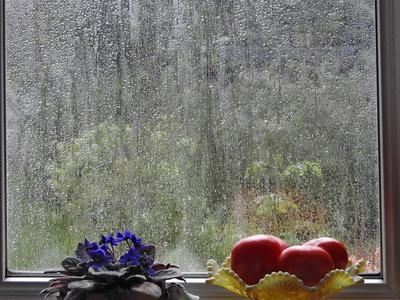 Дождь На Окне Ночью — стоковые фотографии и другие картинки Фотографировать  через окно - Фотографировать через окно, Буря, Зима - iStock