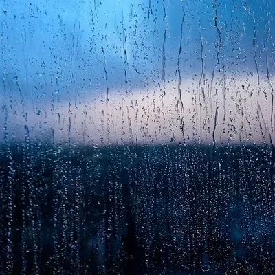 Дождь За Окном — стоковые фотографии и другие картинки Дождь - Дождь,  Книга, Окно - iStock