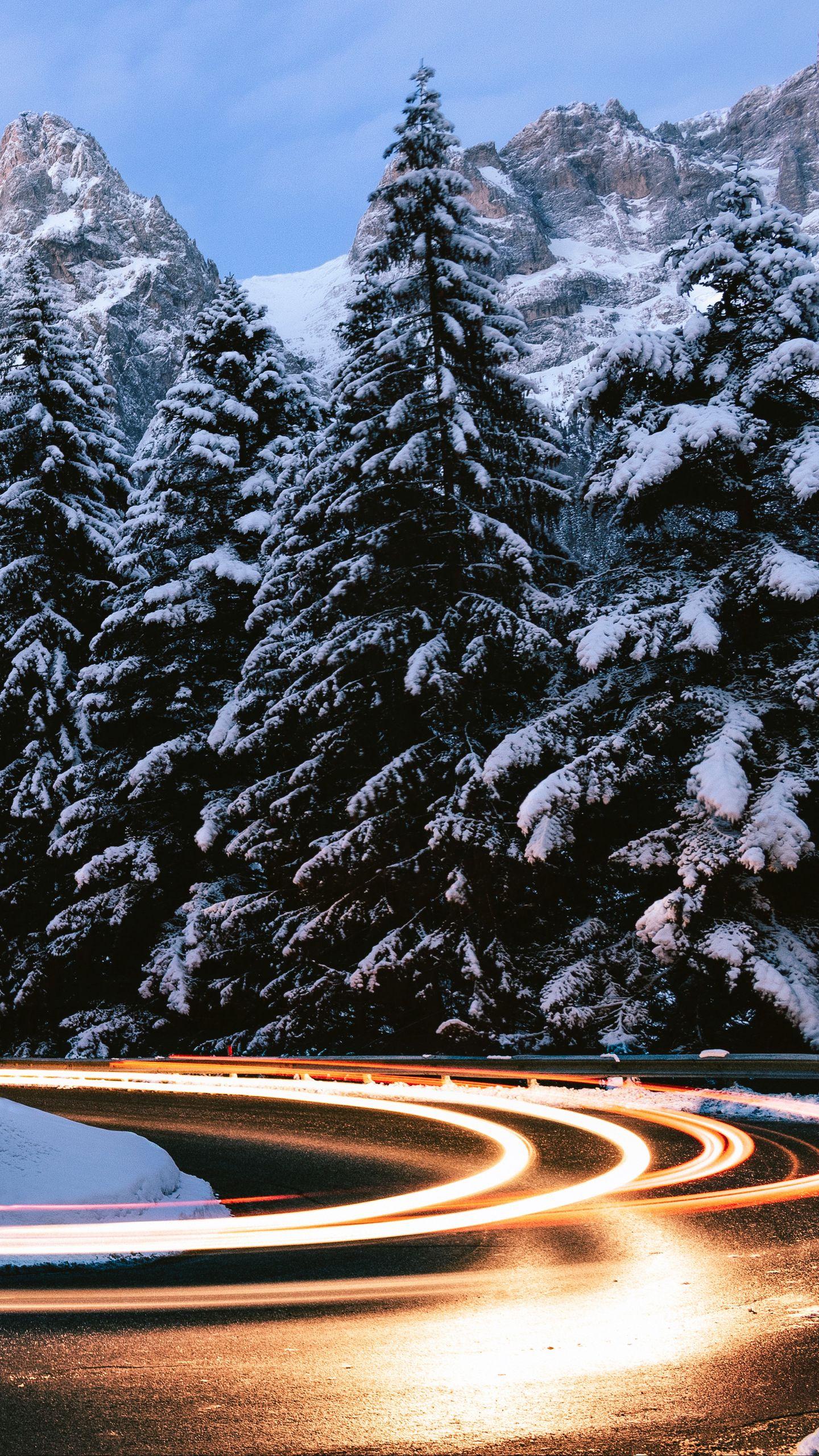 ветка ели зимой. сосны в зимнем лесу Стоковое Изображение - изображение  насчитывающей льдед, торжество: 234438005